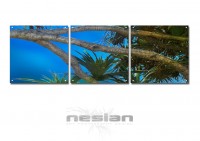 /album/nesian-artwork/n4-copy-jpg/
